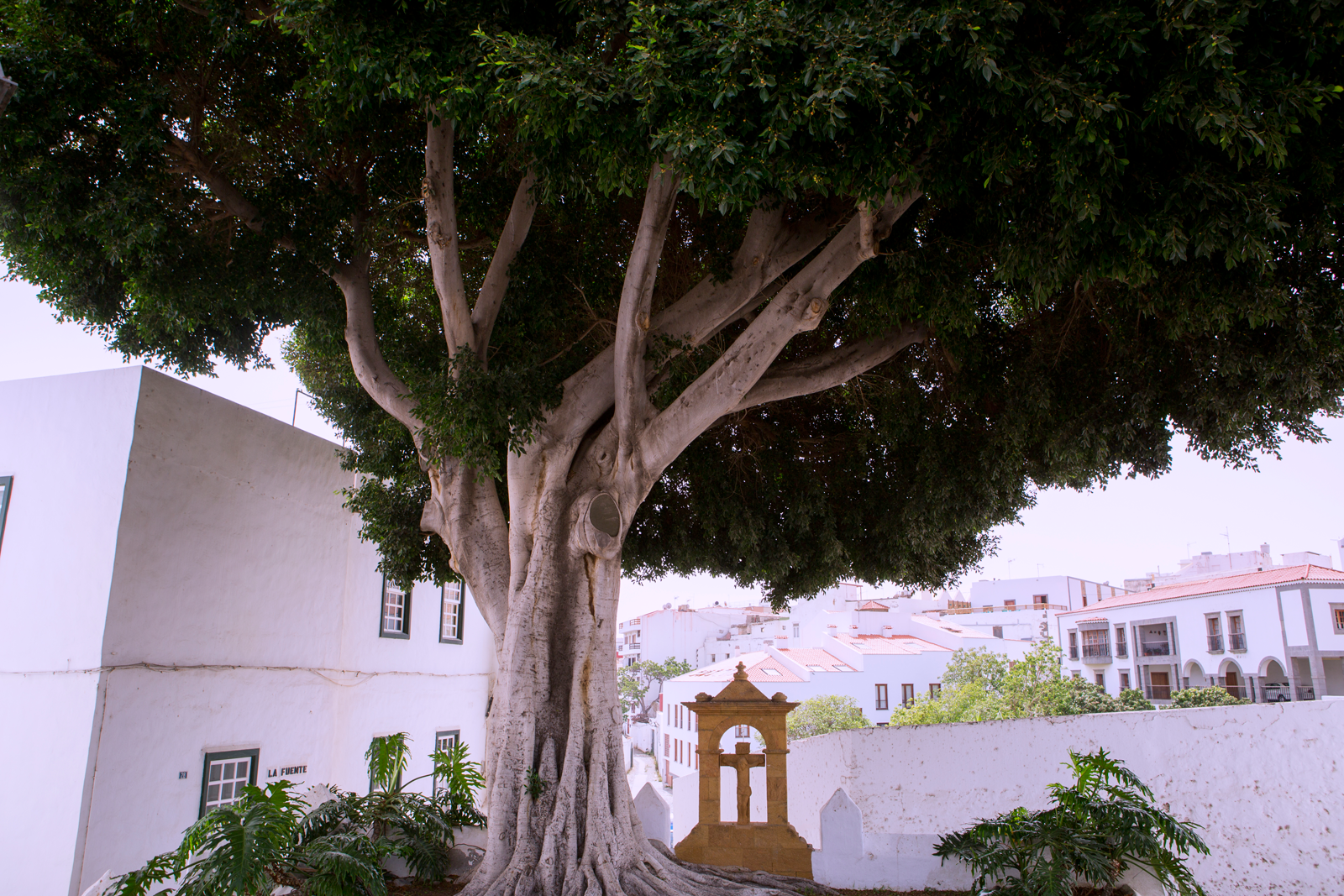 Barrio de San Francisco